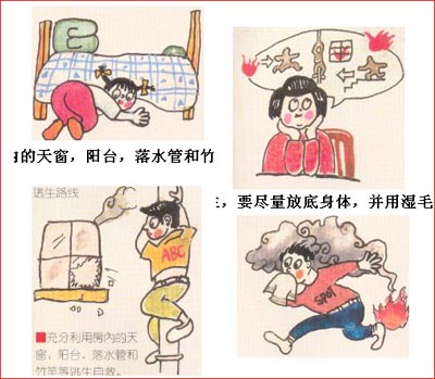 ��������T�S�����DƬ